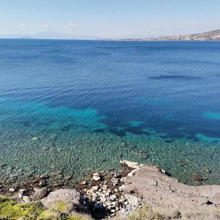 Ithaca Lejlighed